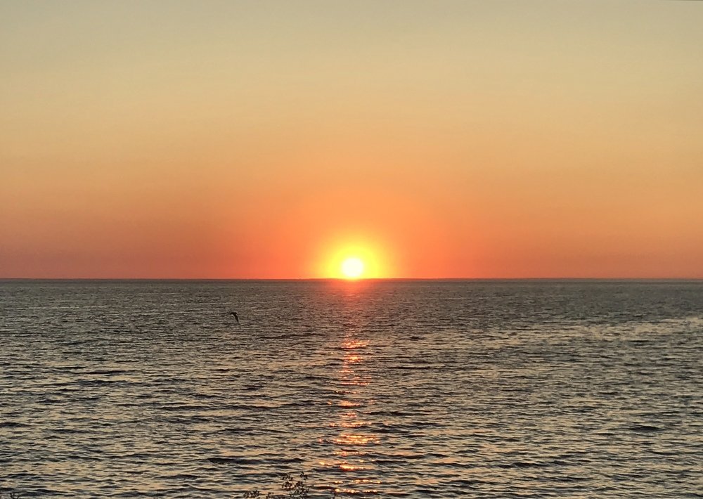 Photograph by Анар Амирова