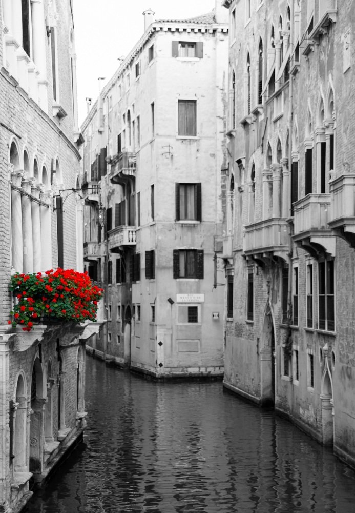 Photograph by Светлана Демина