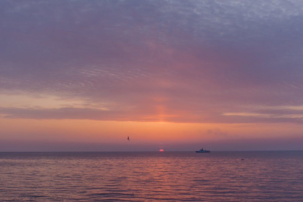 Навстречу друг другу...