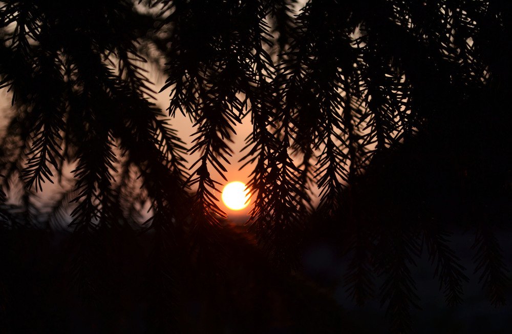 Photograph by Алёна Пестерева