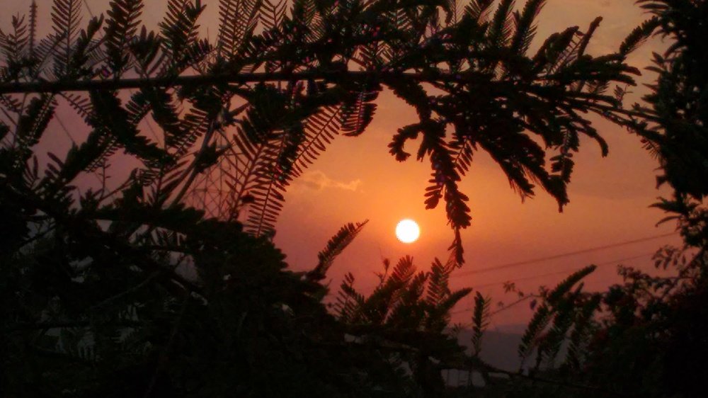 Sunset