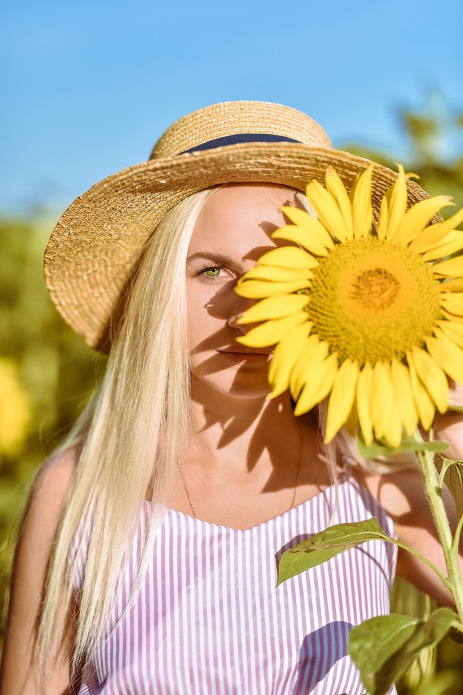 Подсолнухи.