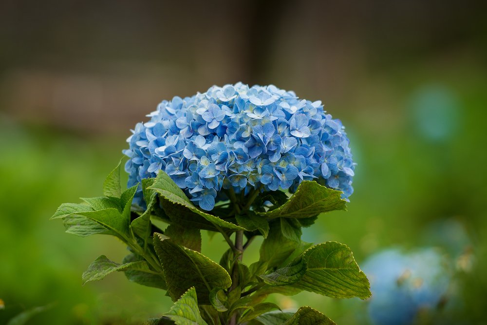 Photograph by Oleg Feofanov