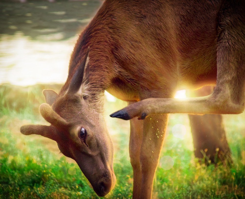 Photograph by  Farshid