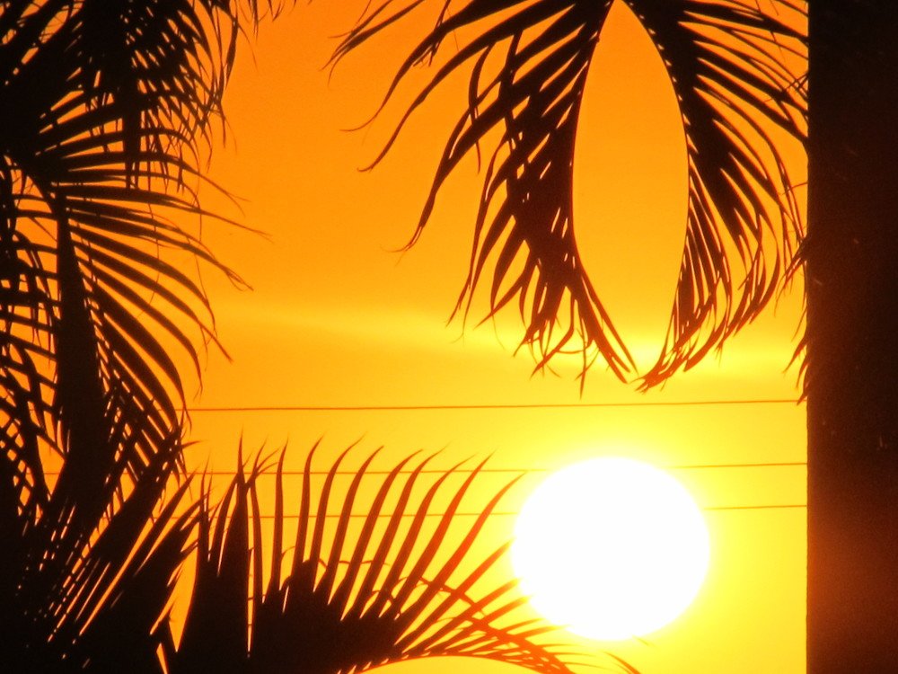 Sunfade