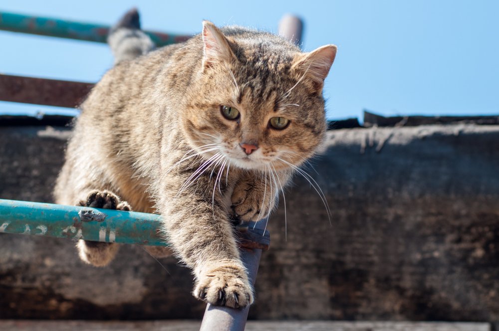 Неудобная лестница