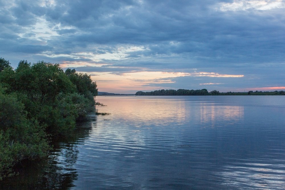 Родина Есенина