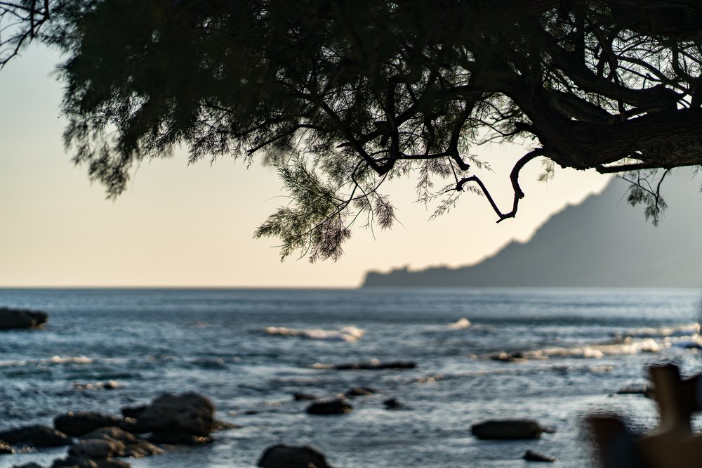 The deepest feelings of a summer evening