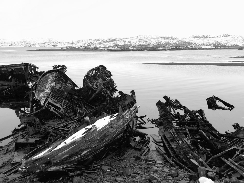 Без названия.