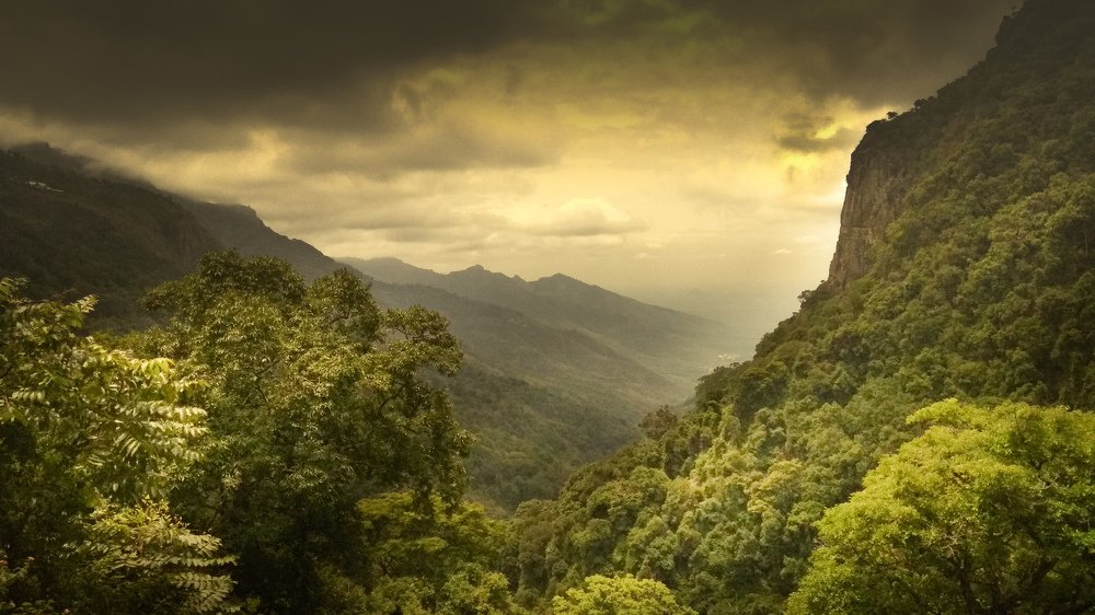 Reflections of light.