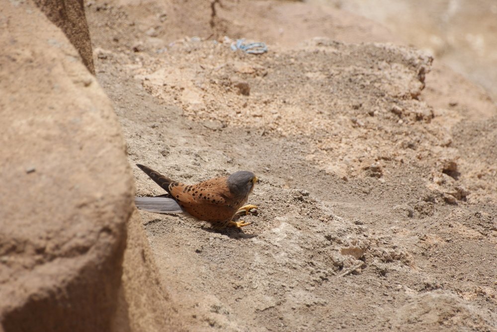 Photograph by Pivovarov Oleg