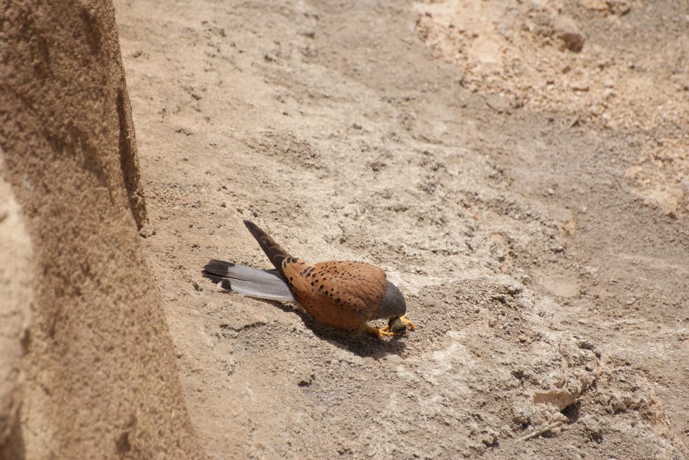 Photograph by Pivovarov Oleg