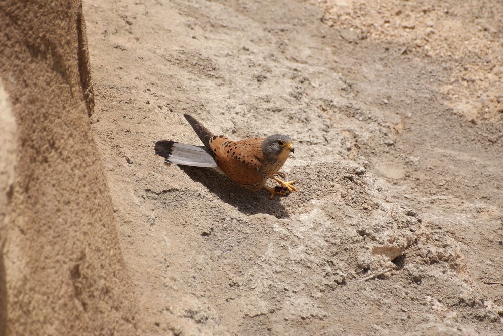 Photograph by Pivovarov Oleg