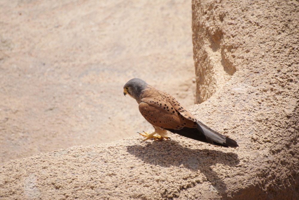 Photograph by Pivovarov Oleg