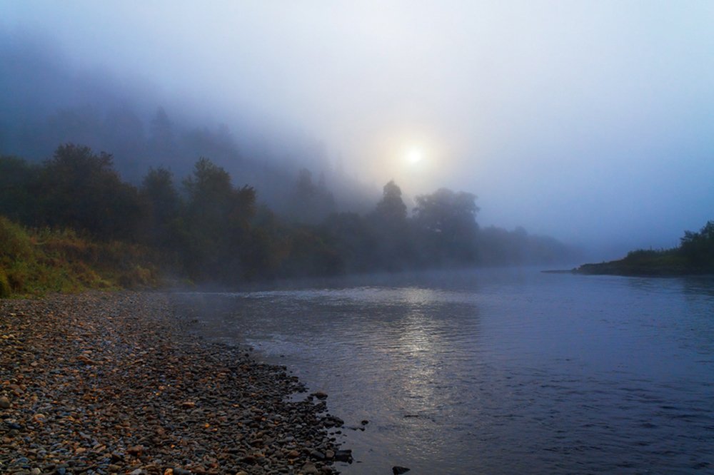 Photograph by Курочкина Диана