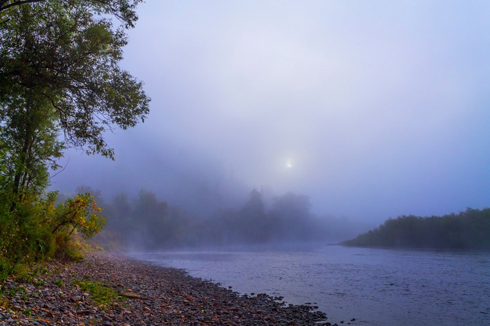 Photograph by Курочкина Диана