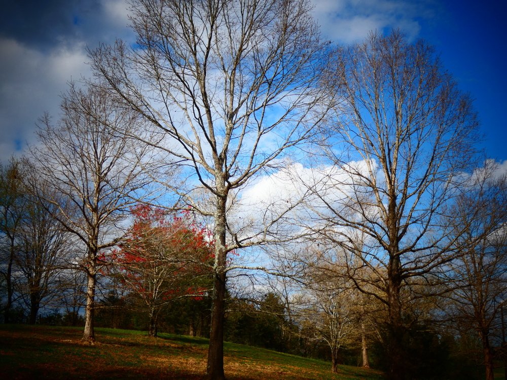 Приход весны.