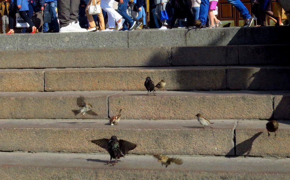 Утро понедельника