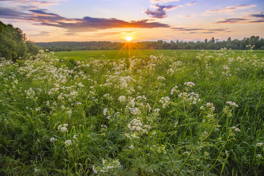 Накануне белой ночи