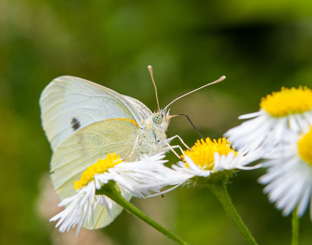 Photograph by  Mykhailo