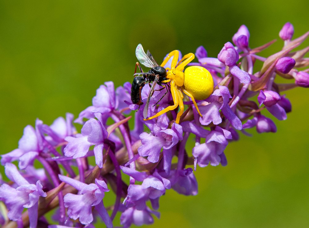 Photograph by  Mykhailo