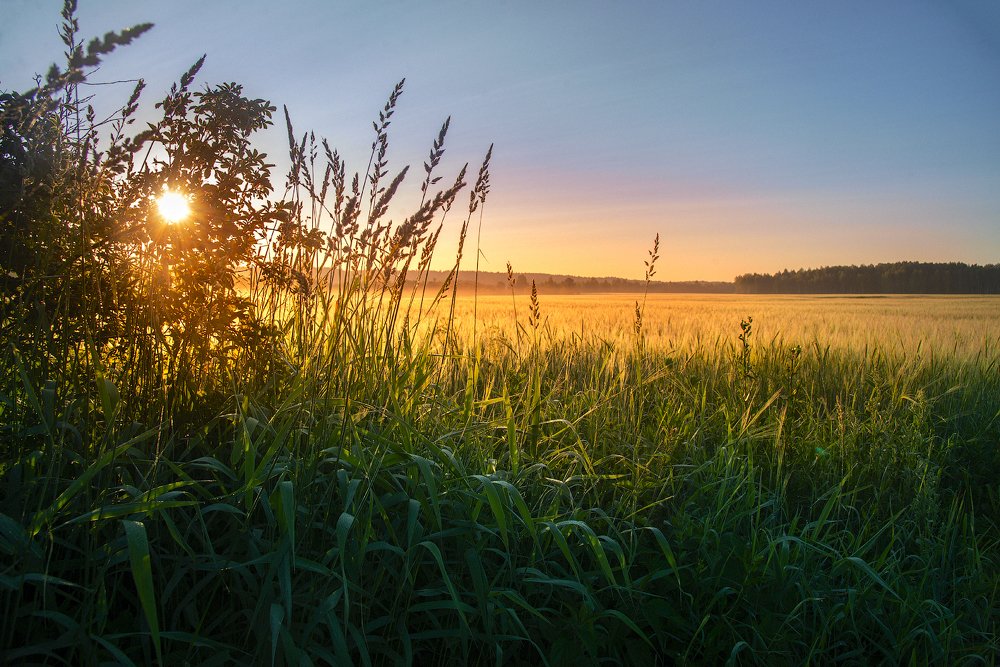 Утро нового дня