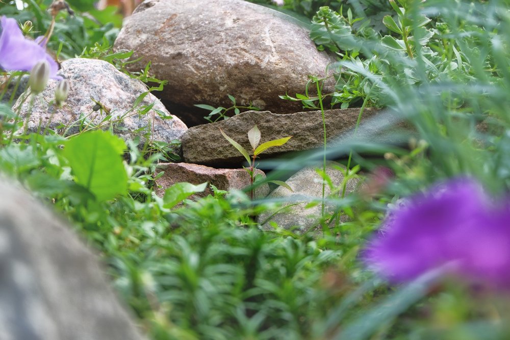 Photograph by Анна Артёменко
