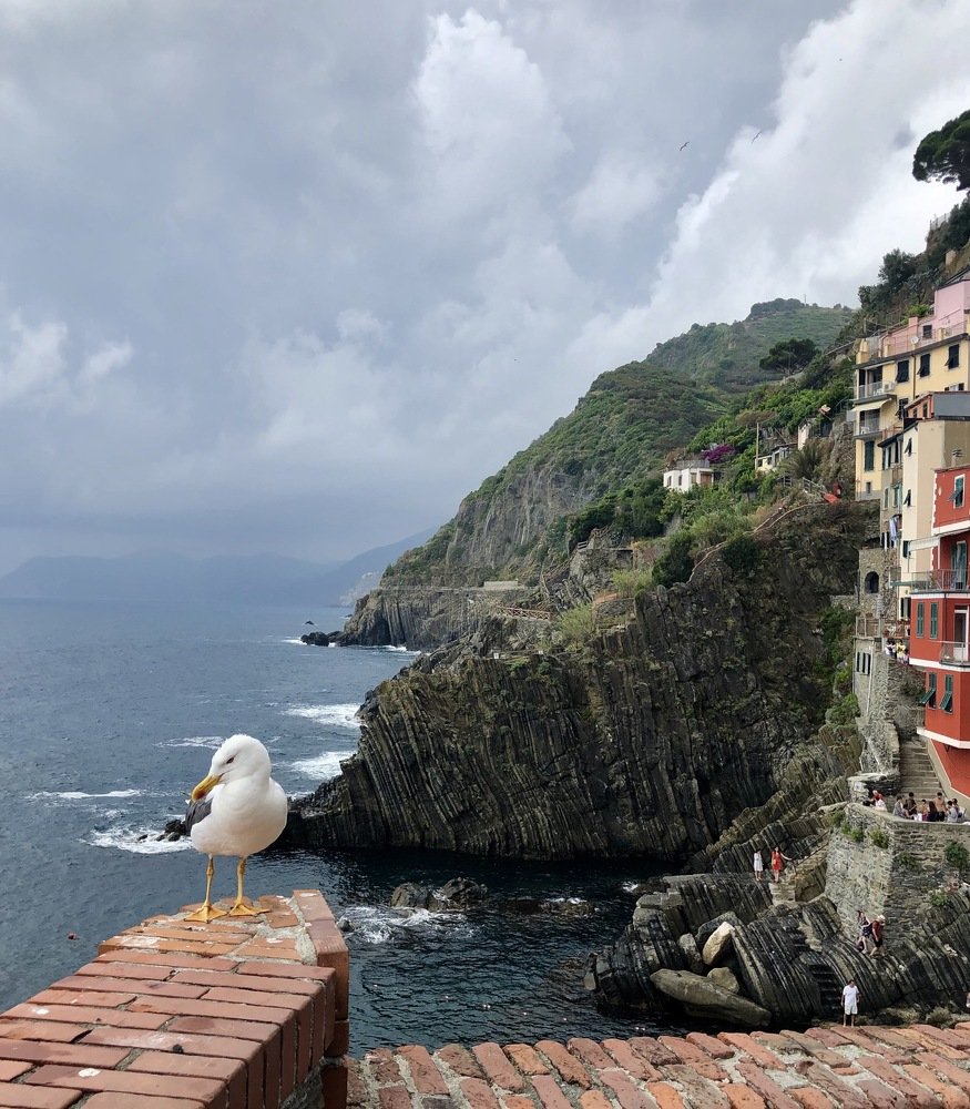 Скалистый берег