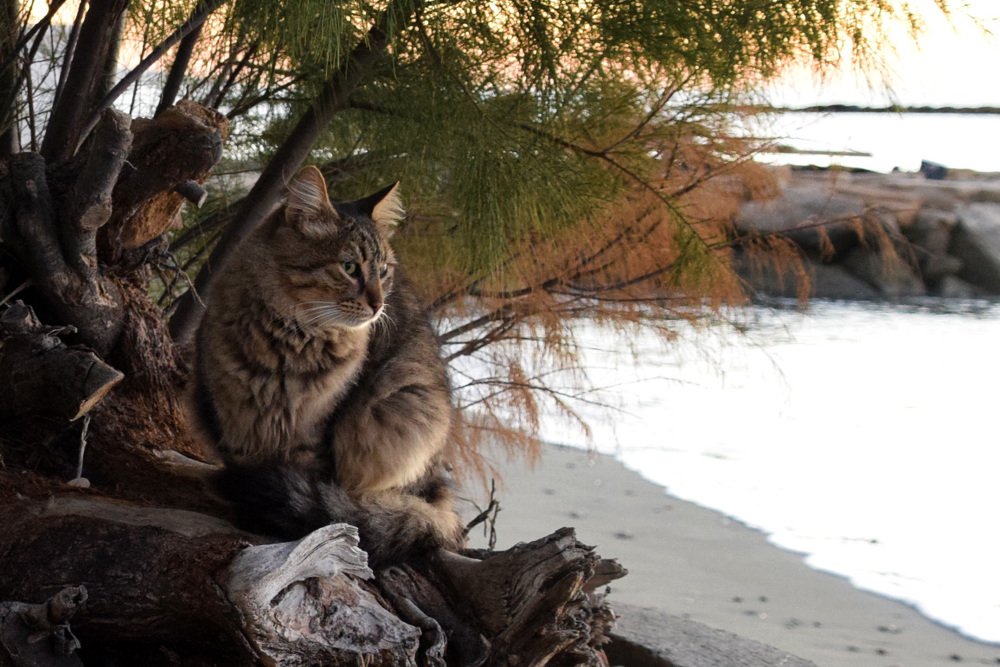 Photograph by Надежда Дорошенко