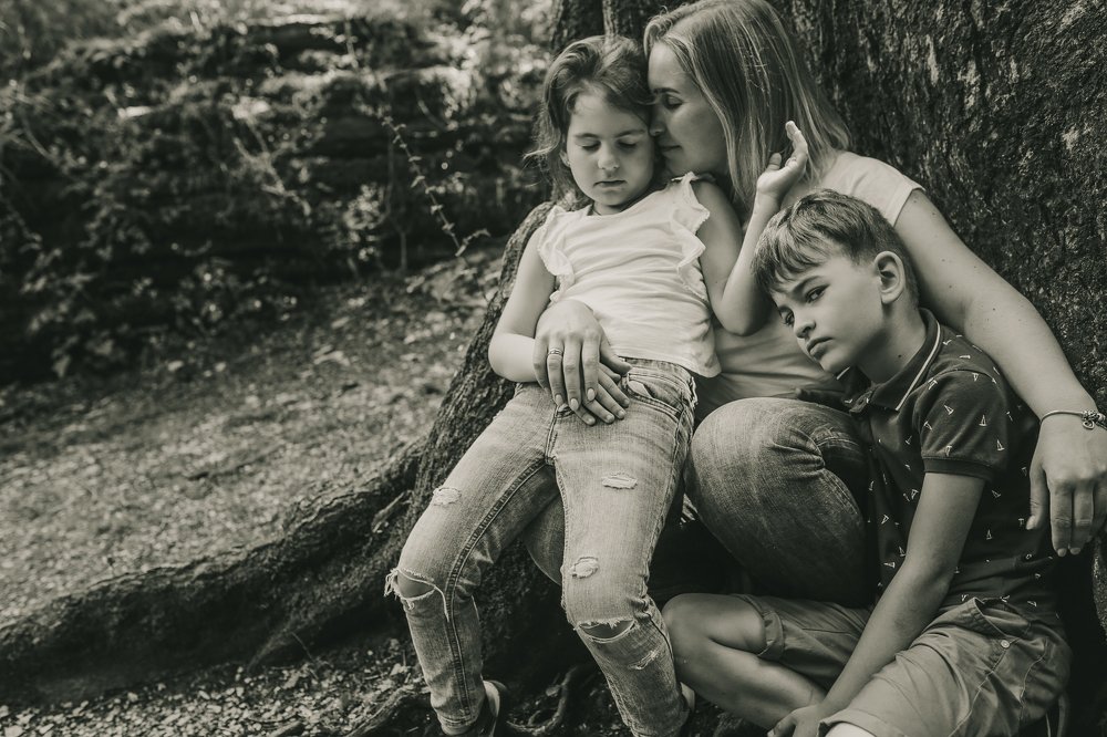 Уснувшие в самшитах