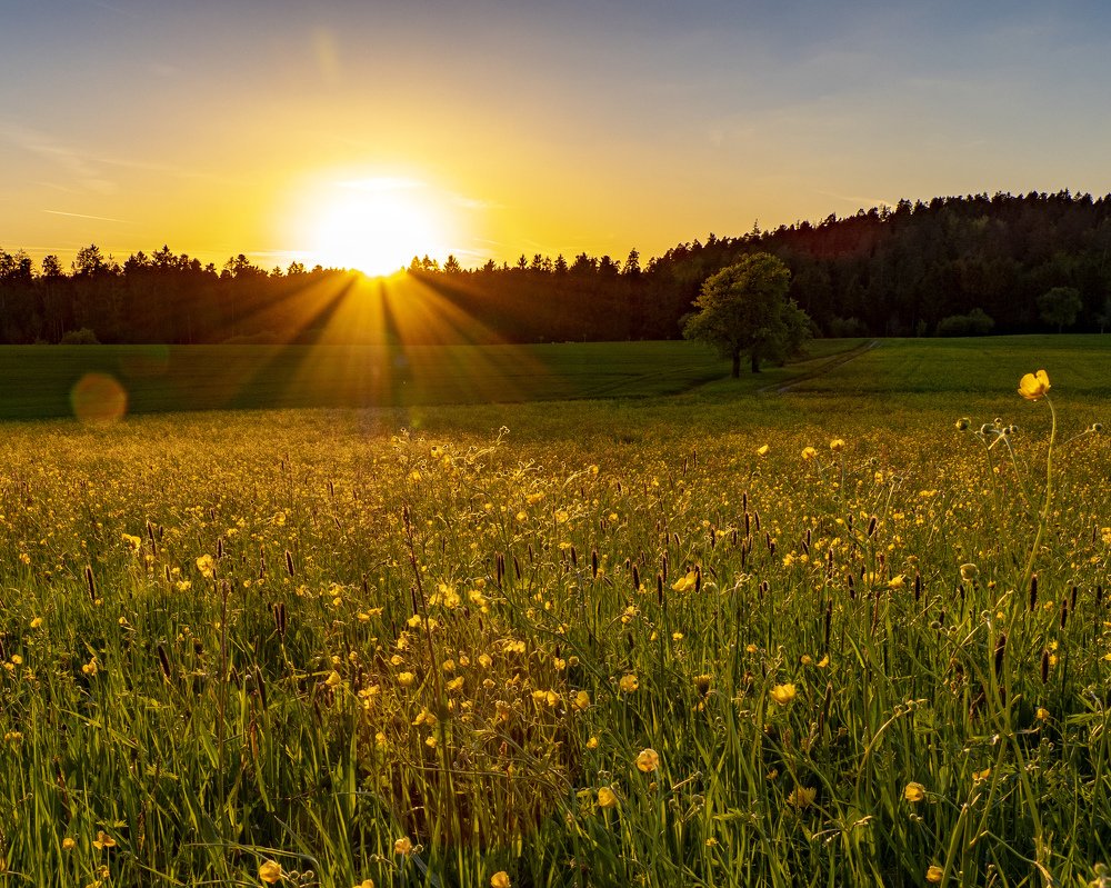 Золотой час. Golden hour.