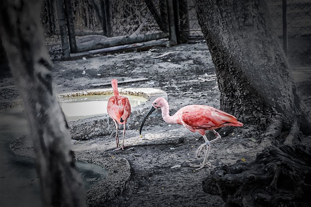 Photograph by Тася Карагодина