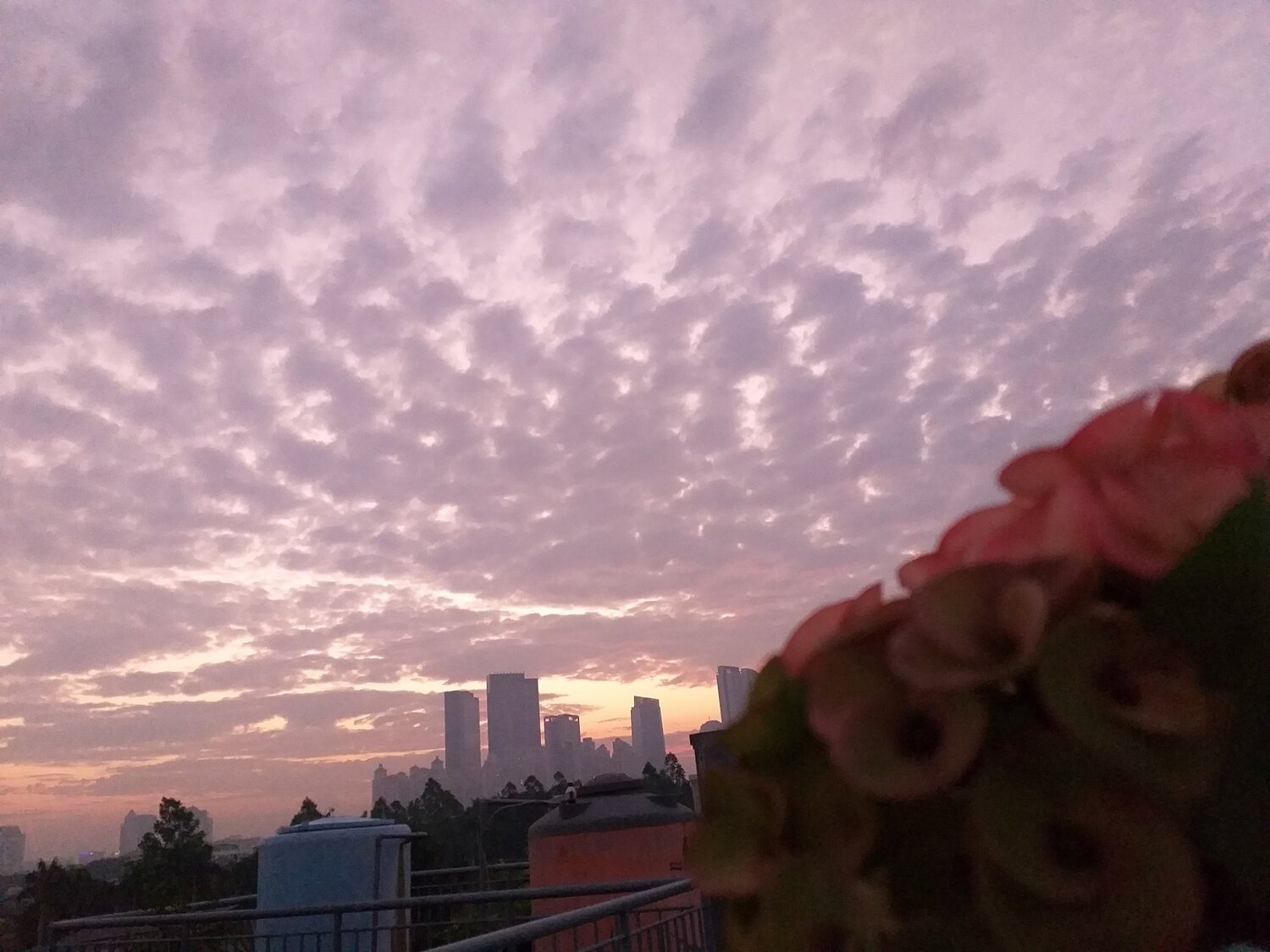 Sunrise