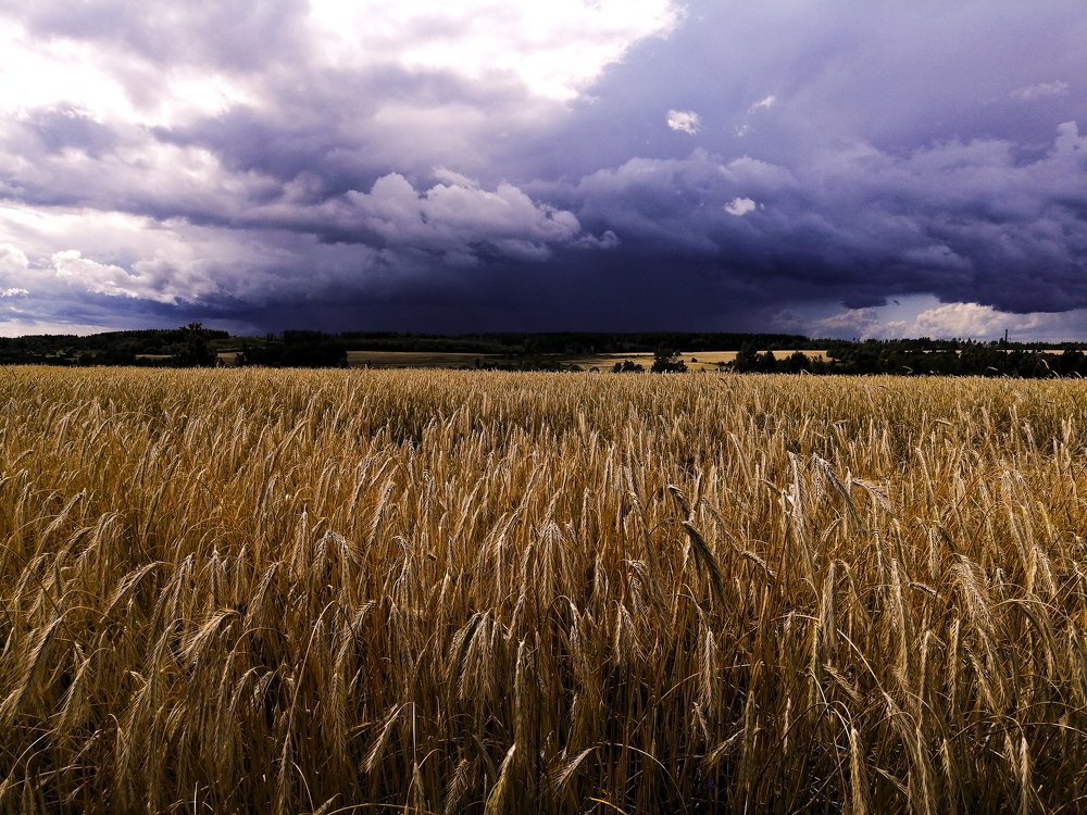 Рождение бури