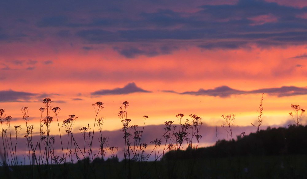 Закатная палитра