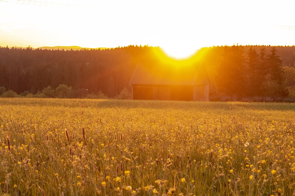 Оранжевая  тема. Orange theme.