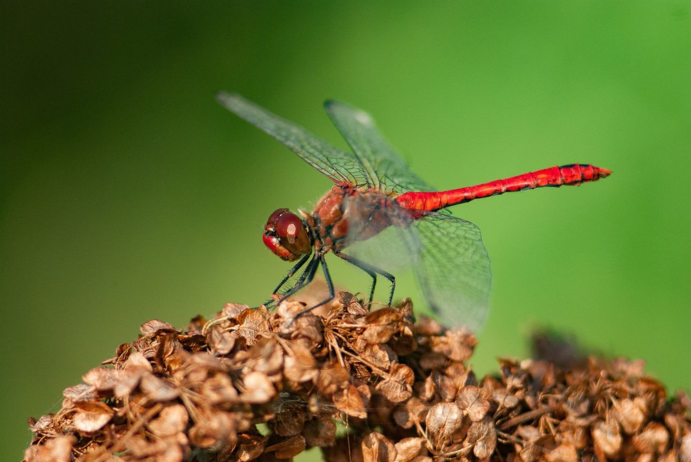 Photograph by Константин Усов