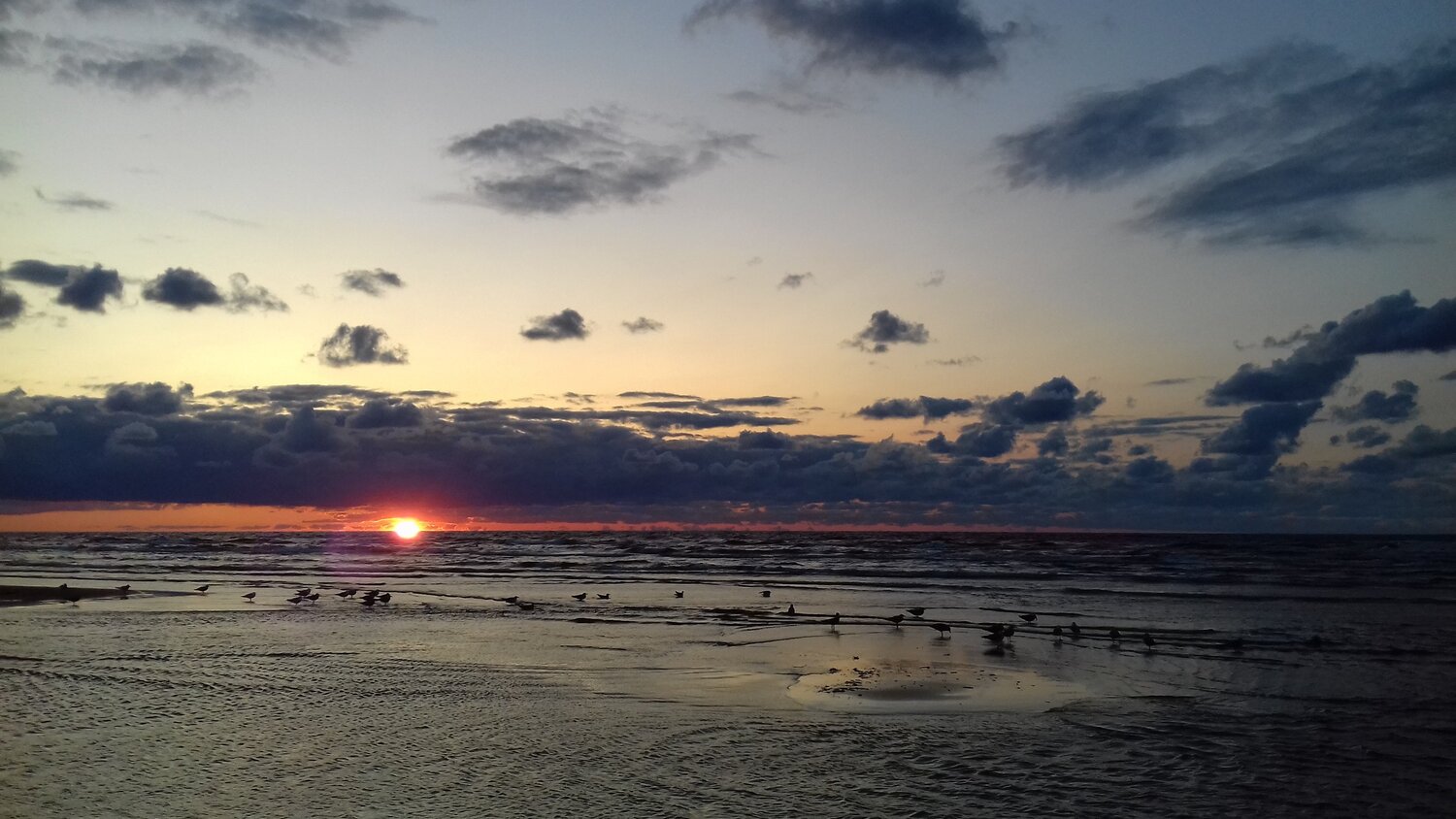Photo #3479407
