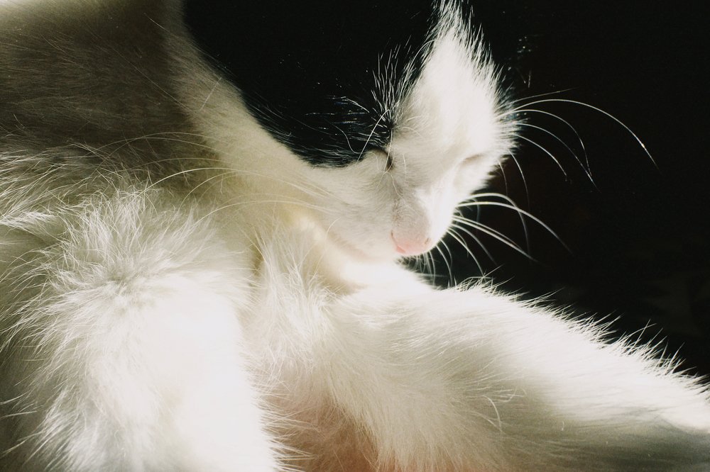 Photograph by Станислав Ситников