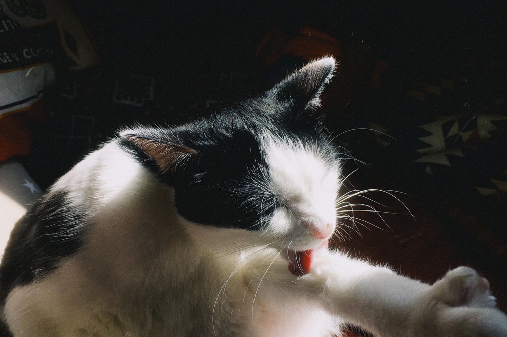 Photograph by Станислав Ситников