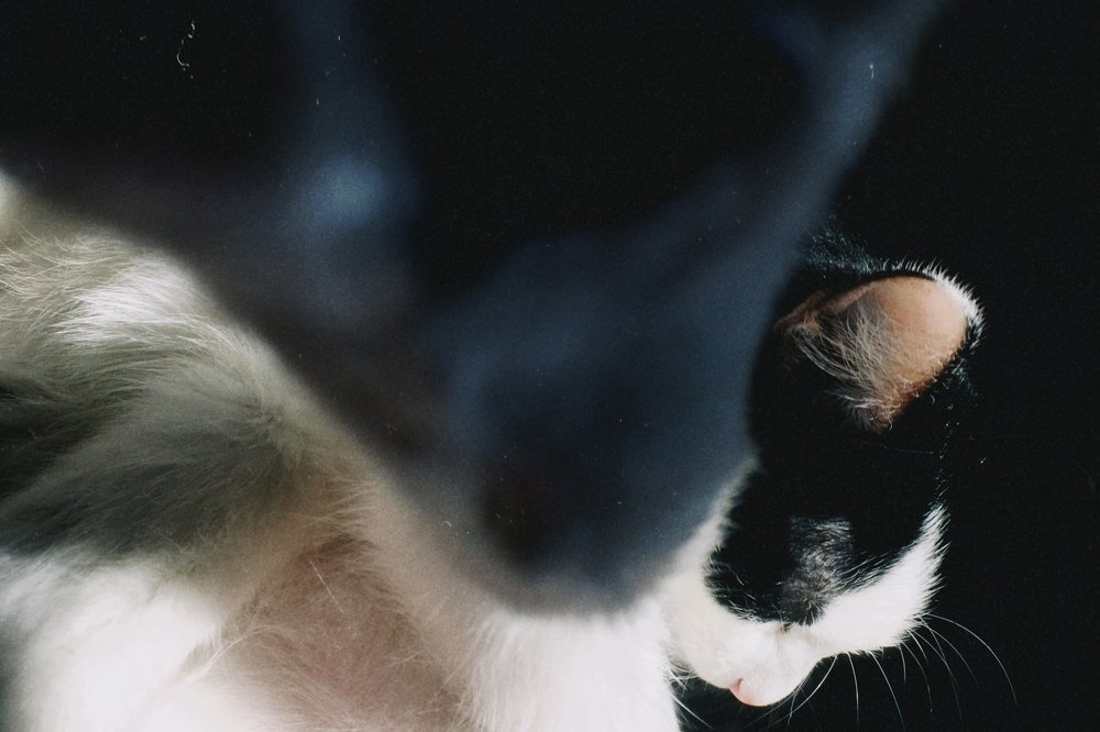 Photograph by Станислав Ситников