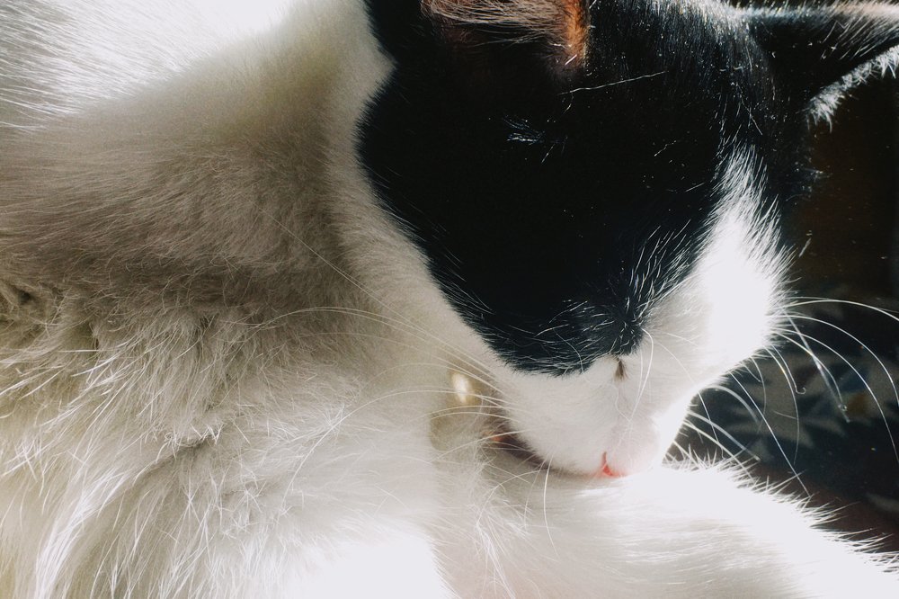 Photograph by Станислав Ситников