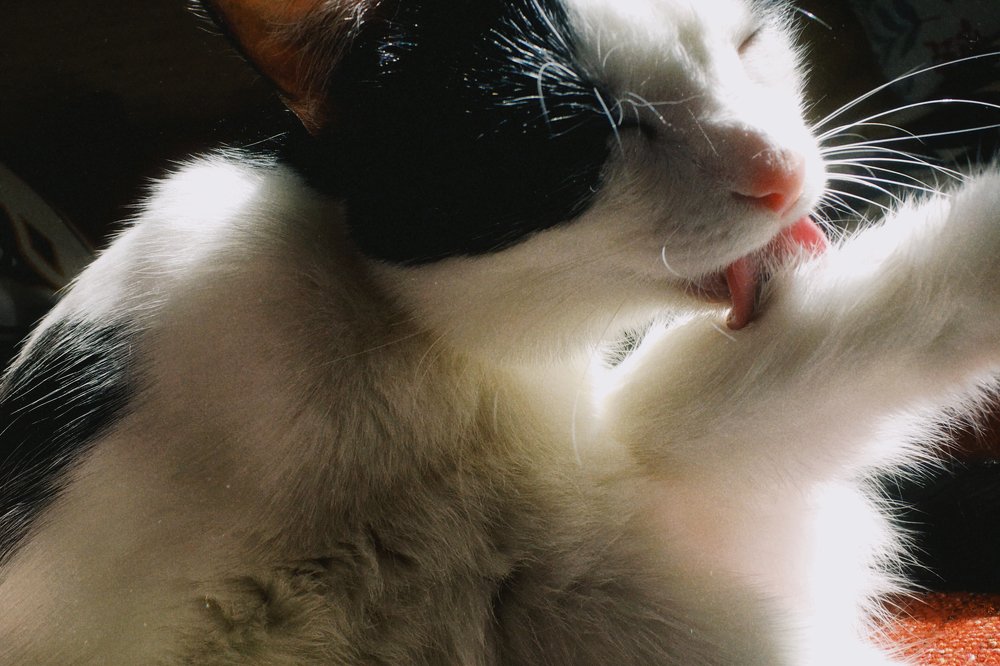 Photograph by Станислав Ситников