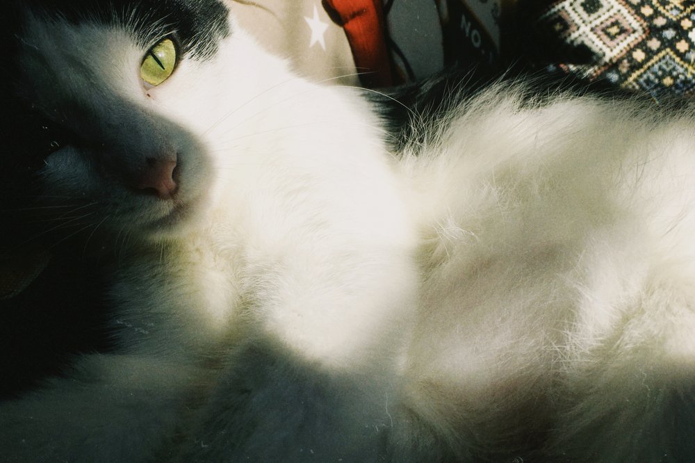 Photograph by Станислав Ситников