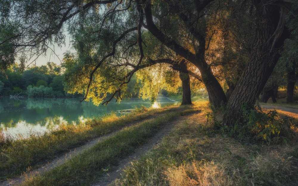 На восходе у реки...