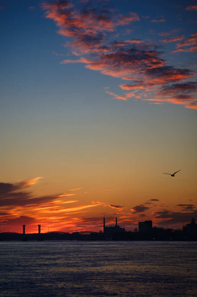 Пожар над Невой