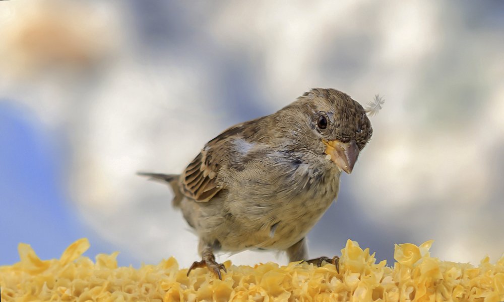 Первый парень на пляже...