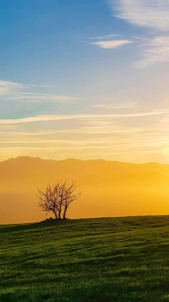 Photograph by kamyar Kamyar