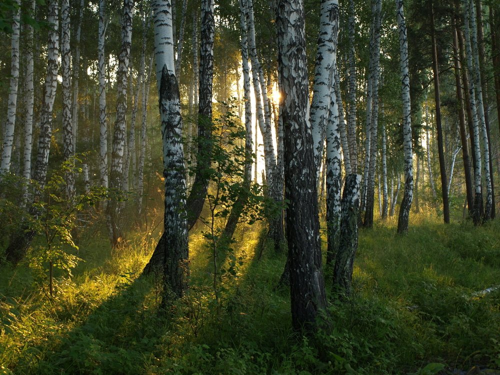 Photograph by Александр