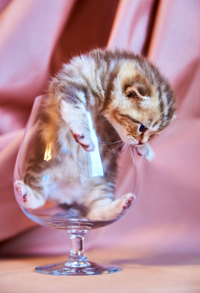 Photograph by Екатерина Коломыцева